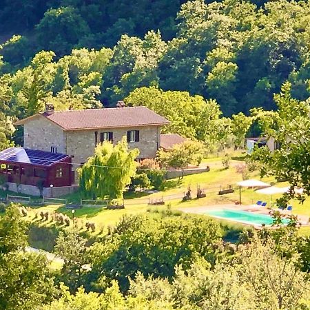Agriturismo Vista Sole Villa Mercatale  ภายนอก รูปภาพ