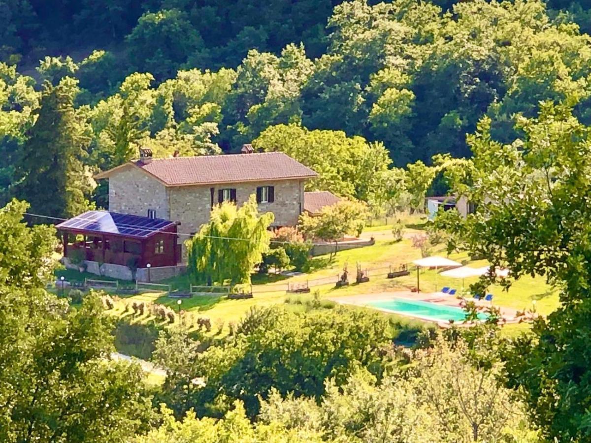 Agriturismo Vista Sole Villa Mercatale  ภายนอก รูปภาพ