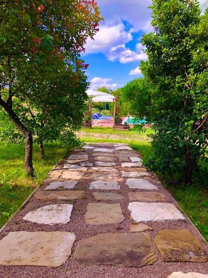 Agriturismo Vista Sole Villa Mercatale  ภายนอก รูปภาพ