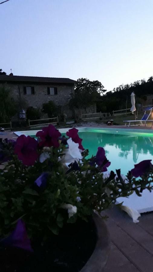 Agriturismo Vista Sole Villa Mercatale  ภายนอก รูปภาพ
