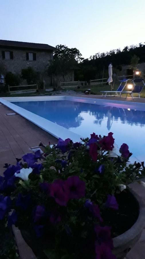 Agriturismo Vista Sole Villa Mercatale  ภายนอก รูปภาพ