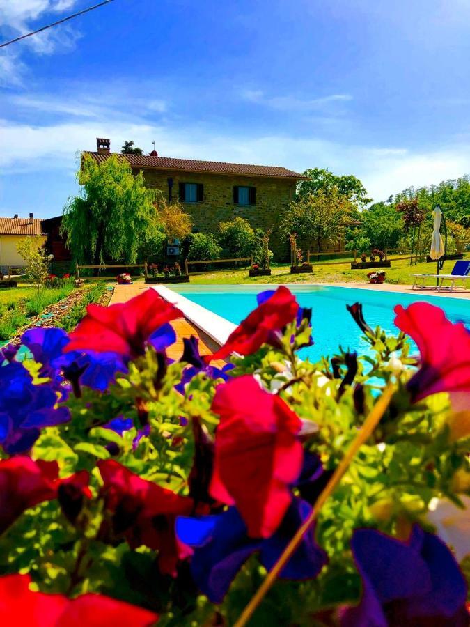 Agriturismo Vista Sole Villa Mercatale  ภายนอก รูปภาพ